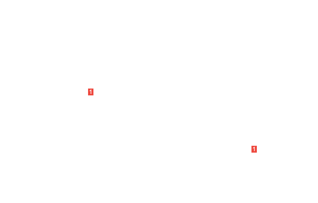 колодки тормозные передние (2 шт.)