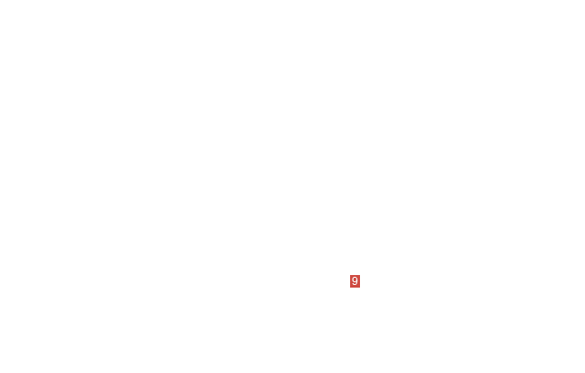 перегородка центральная