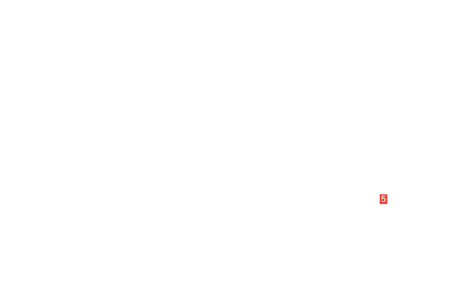 шайба 6