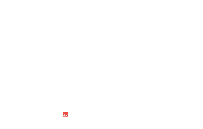 шайба 1