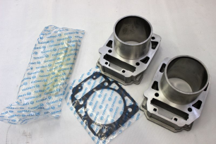 2 цилиндра (в сборе)