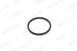 Сальник суппорта