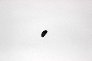 Шпонка балансировочного вала