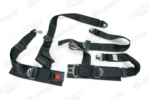 Ремень безопасности пятиточечный