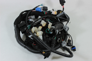 Коса электрическая главная 2021