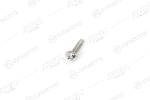 Винт с внутренним шестигранником M6x25