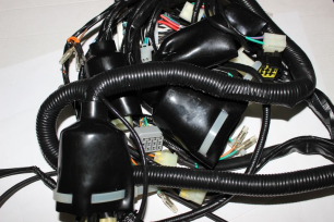 Коса электрическая (для отдоместной модели)