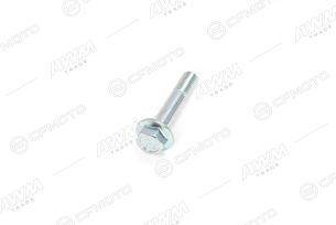 Болт M10x50