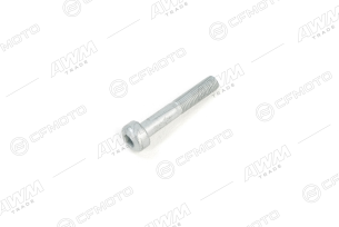 Болт суппорта тормозного