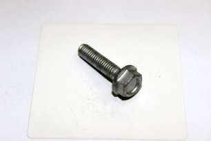 Болт M6x25