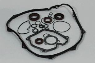 Комплект сальников с уплотнениями.