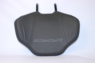 Спинка пассажира