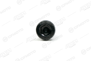 Винт с внутренним шестигранником M8&times;25