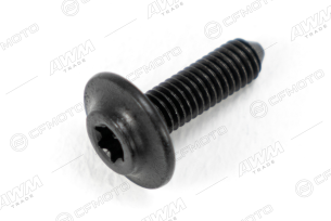 Болт с внутренним шестигранником M6x20