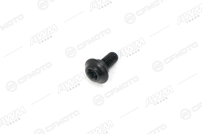 Болт с внутренним шестигранником M5x12