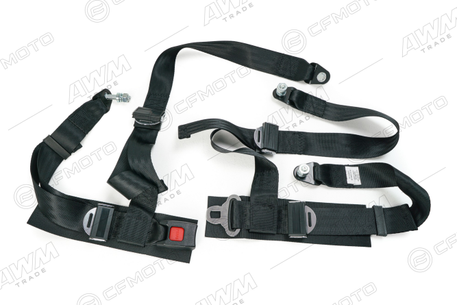 Ремень безопасности пятиточечный