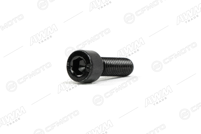 Винт с внутренним шестигранником M8&times;25