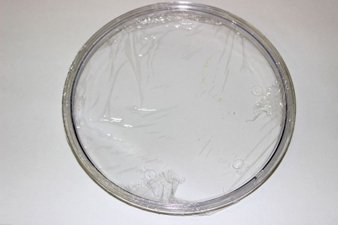 Крышка фары