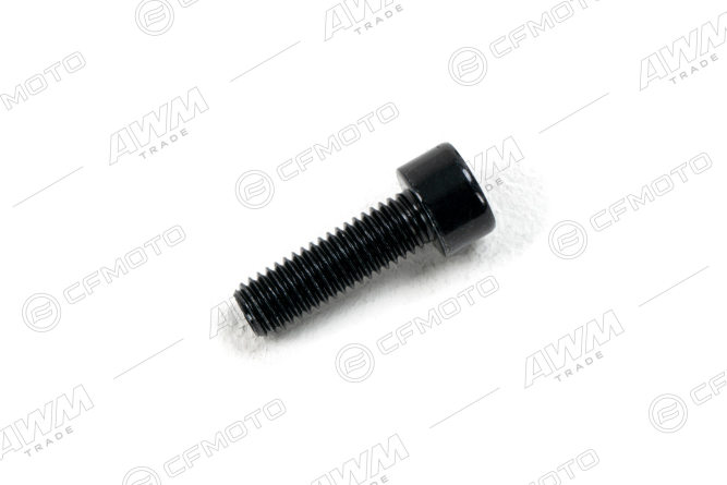 Винт с внутренним шестигранником M8&times;25