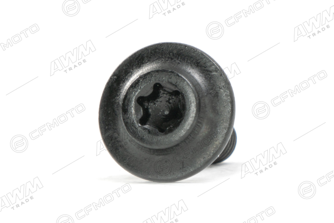 Болт с внутренним шестигранником M6x20