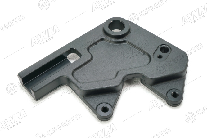 Кронштейн суппорта тормозного заднего