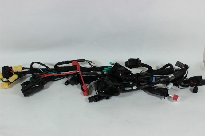 Коса электрическая, главная