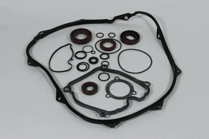 Комплект сальников с уплотнениями.