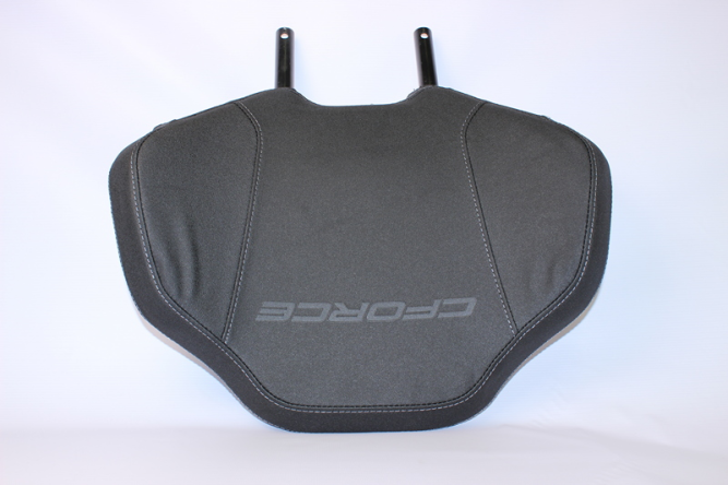 Спинка пассажира