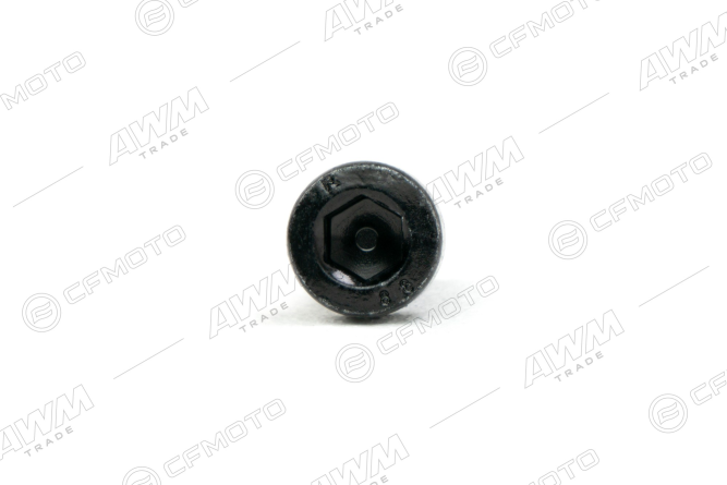 Винт с внутренним шестигранником M8&times;25