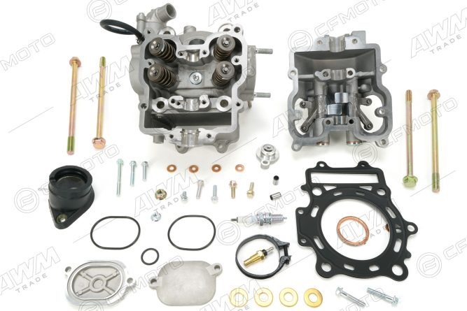 Голова цилиндра с клапанной крышкой в сборе