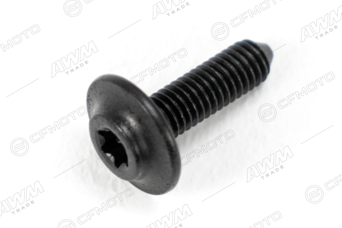 Болт с внутренним шестигранником M6x20