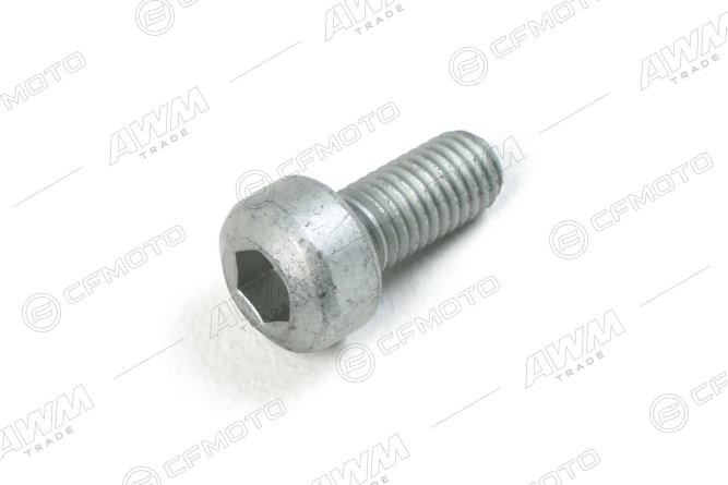 Болт M10x22